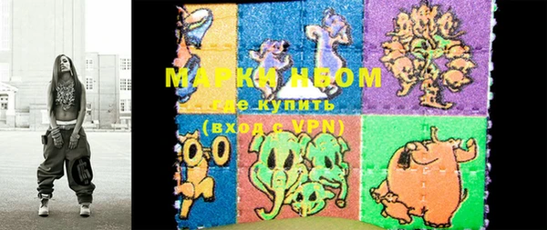 стафф Осинники