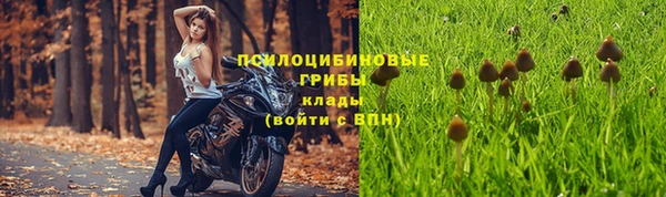 каннабис Белокуриха