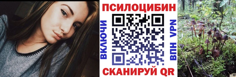 Псилоцибиновые грибы ЛСД  omg сайт  Ершов 