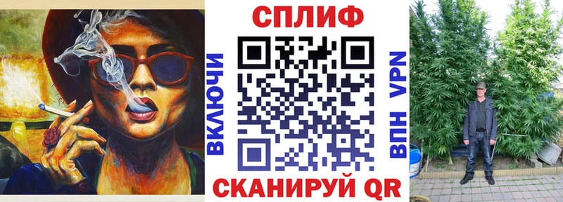 Шишки марихуана гибрид  купить  сайты  Ершов 